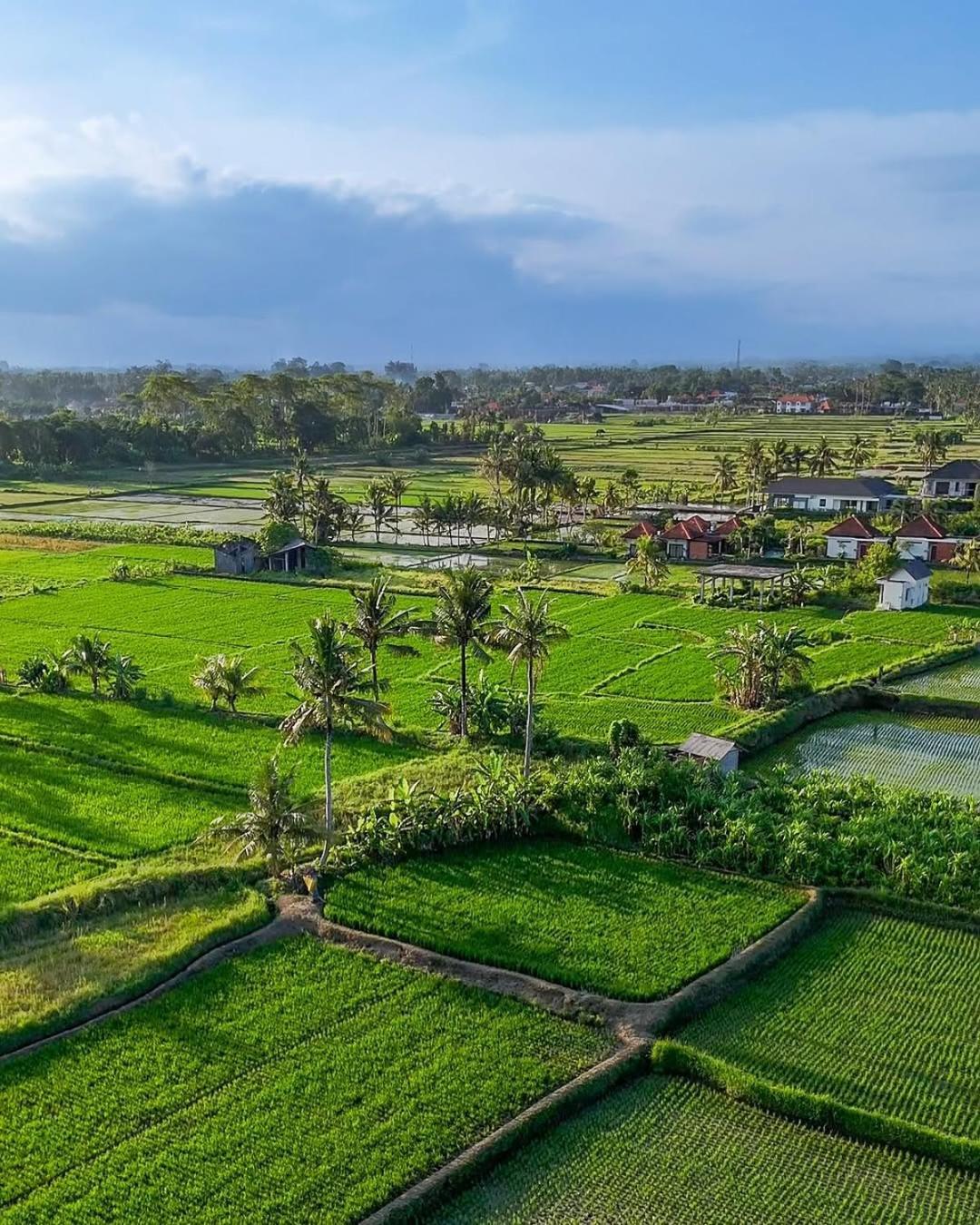 Ikada Villa By Pramana Villas Ubud  Exterior photo